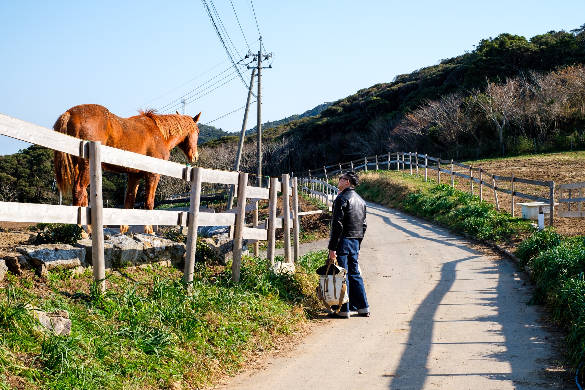 一位男子站在乡村道路旁，望着一匹栅栏内的红色马匹，周围环境宁静，阳光明媚。